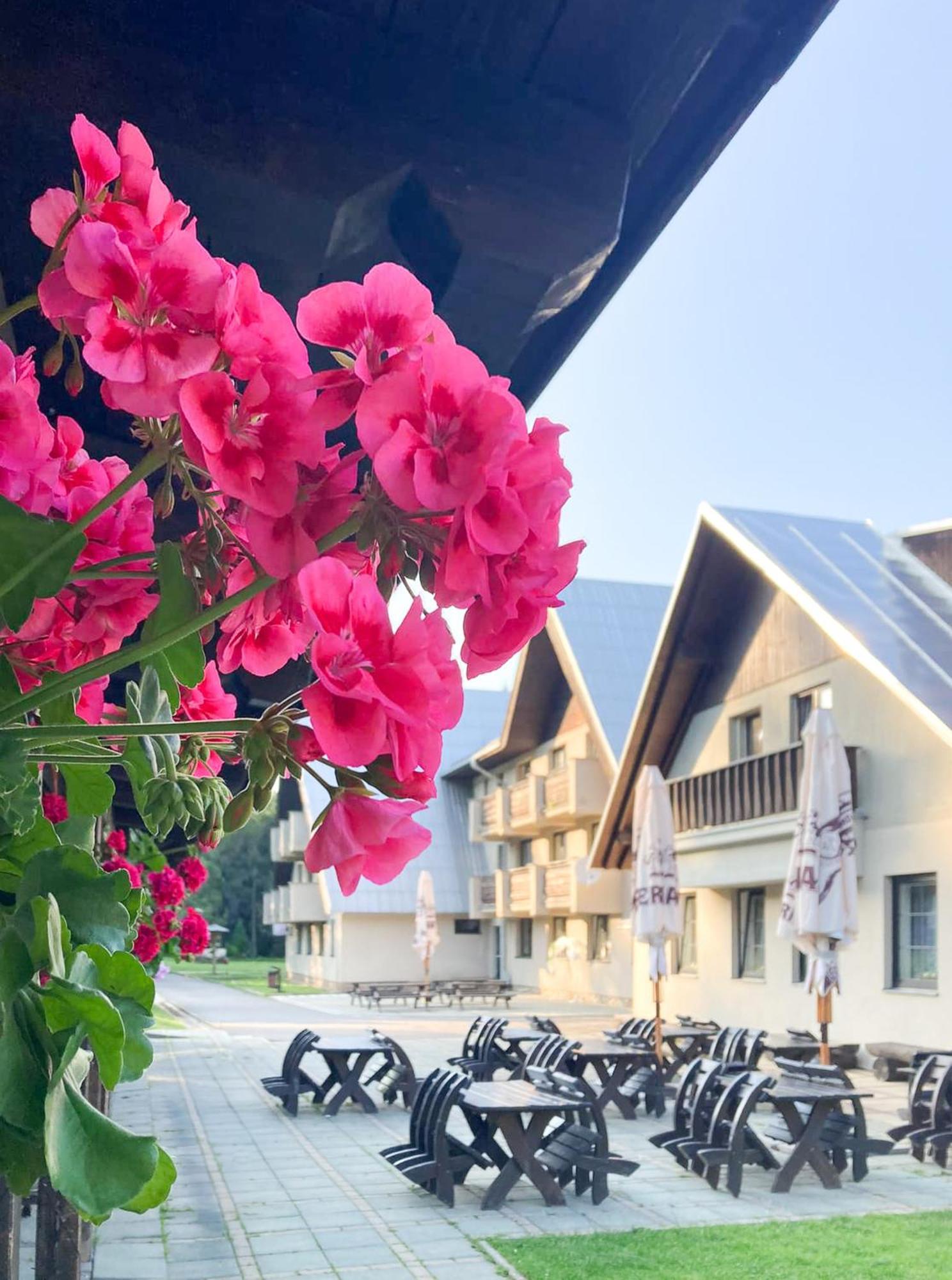 Hotel Hornik Žďár nad Sázavou Eksteriør billede
